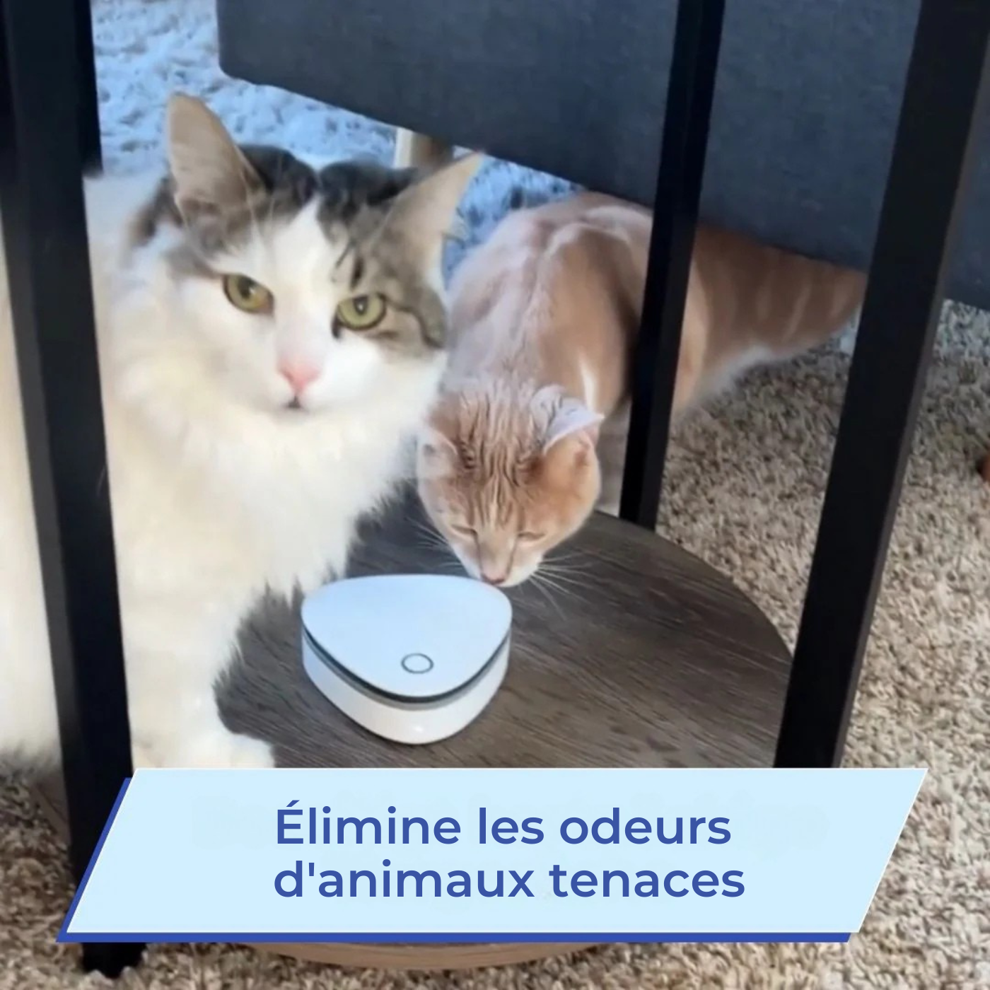 Ozonix - Éliminez la fumée, les odeurs d'animaux et celles de cuisine